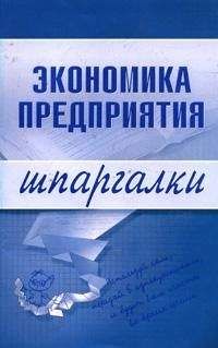 Елена Душенькина - Экономика предприятия