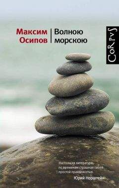 Максим Осипов - Волною морскою (сборник)