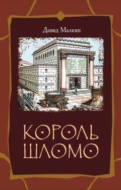 Давид Малкин - Король Шломо