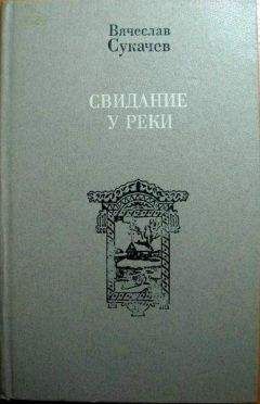 Вячеслав Сукачев - У реки