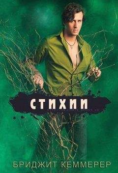 Бриджид Кеммерер - Стихии