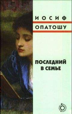 Иосиф Опатошу - Последний в семье