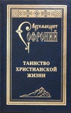 Софроний Сахаров - Таинство христианской жизни