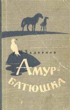Николай Задорнов - Амур-батюшка