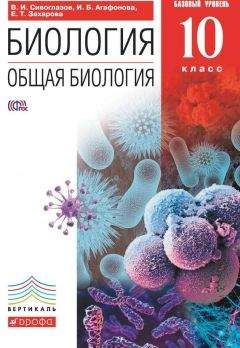 Екатерина Захарова - Биология. Общая биология. 10 класс. Базовый уровень