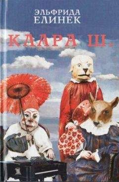 Эльфрида Елинек - Эссе, выступления, интервью