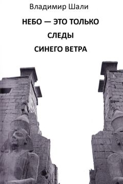 Владимир Шали - Небо – это только следы синего ветра