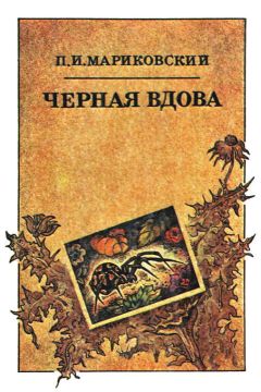 Павел Мариковский - Черная вдова