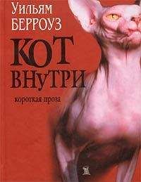 Уильям Берроуз - Аллея торнадо