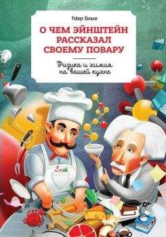 Роберт Вольке - О чем Эйнштейн рассказал своему повару