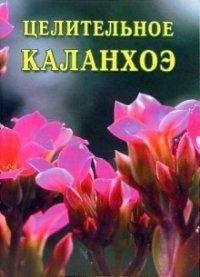 Иван Дубровин - Целительное каланхоэ