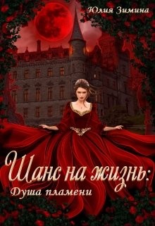 Шанс на жизнь: Душа пламени (СИ) - Зимина Юлия