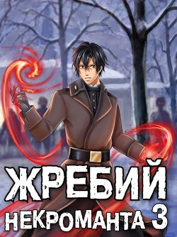 Жребий некроманта 3 (СИ) - Решетов Евгений Валерьевич 