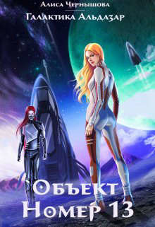 Объект номер 13 (СИ) - Чернышова Алиса