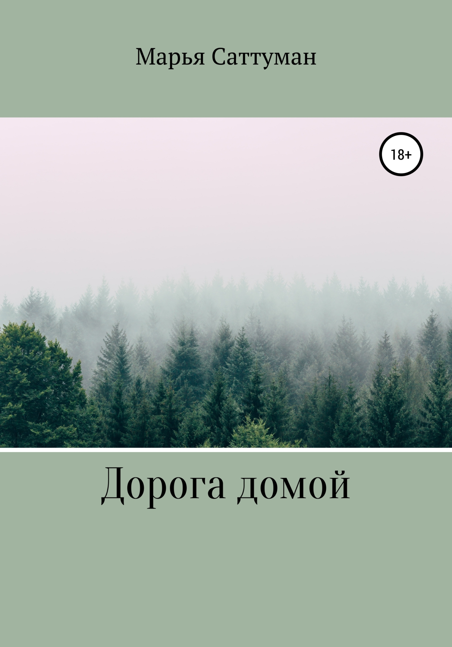 Дорога домой - Марья Саттуман