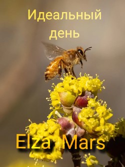 Идеальный день (СИ) - 