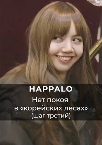 Нет покоя в "корейских лесах". (Шаг третий) - Happalo