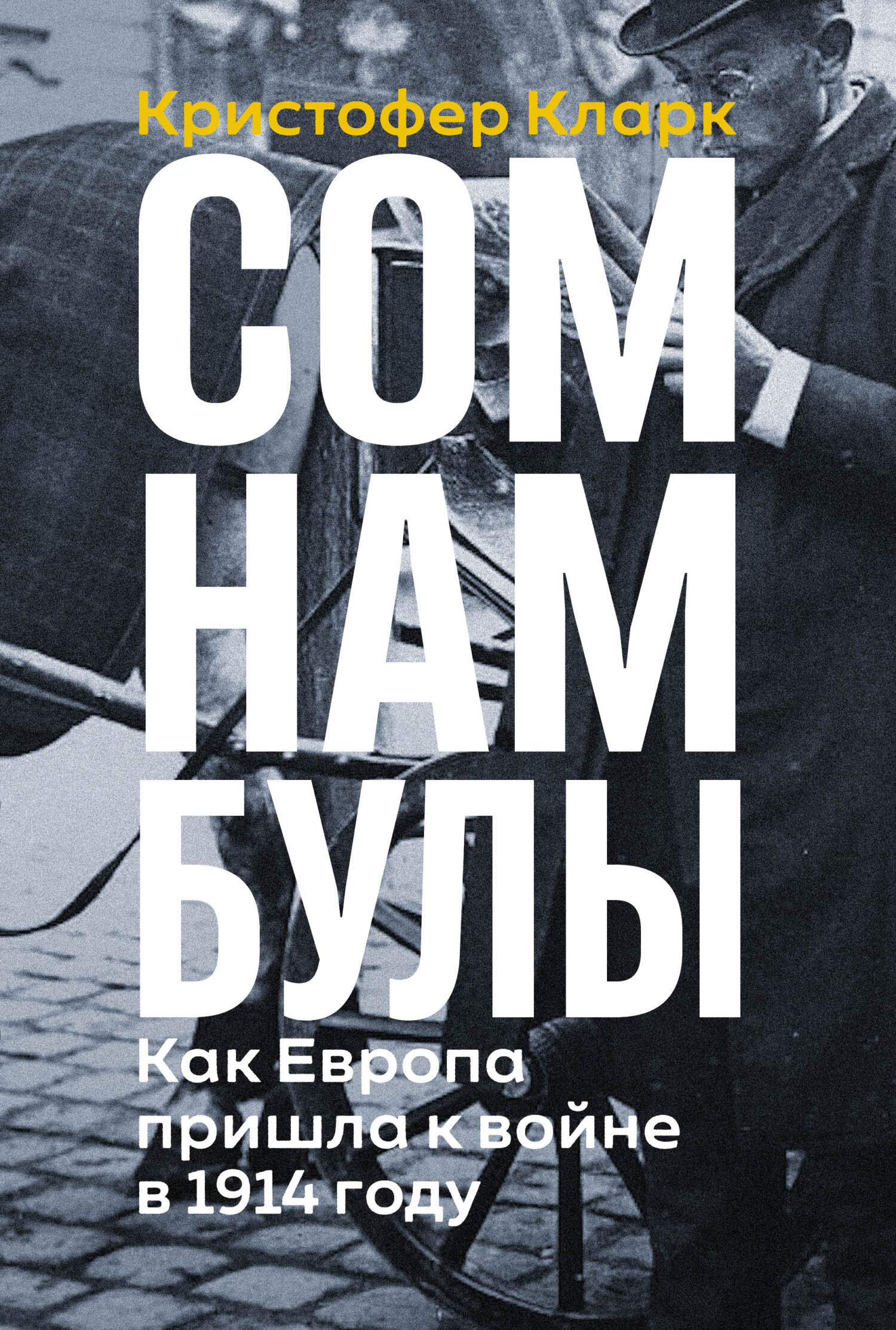 Сомнамбулы: Как Европа пришла к войне в 1914 году - Кристофер Кларк