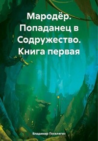 Попаданец в Содружество (СИ) - Поселягин Владимир Геннадьевич