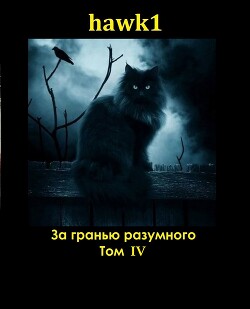 За гранью разумного. Том 4 (СИ) - hawk1