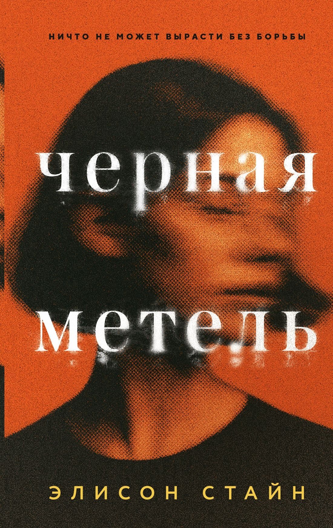 Черная метель - Элисон Стайн