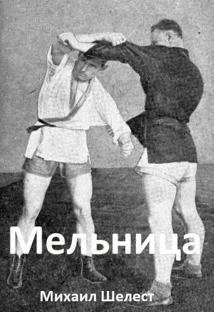 Мельница 5 - Михаил Васильевич Шелест
